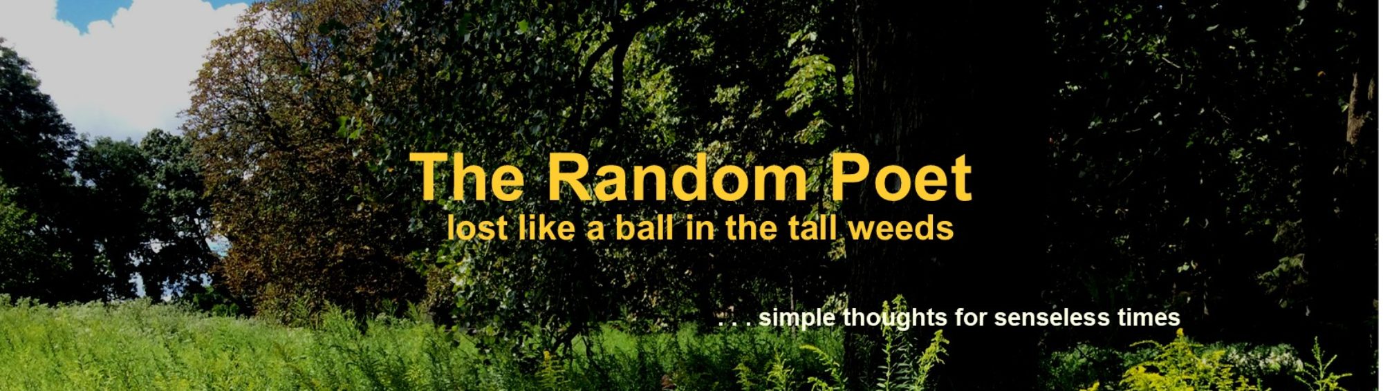 The Random Poet
